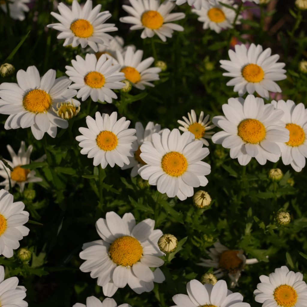 S.T.さんへの質問16 (2-16)