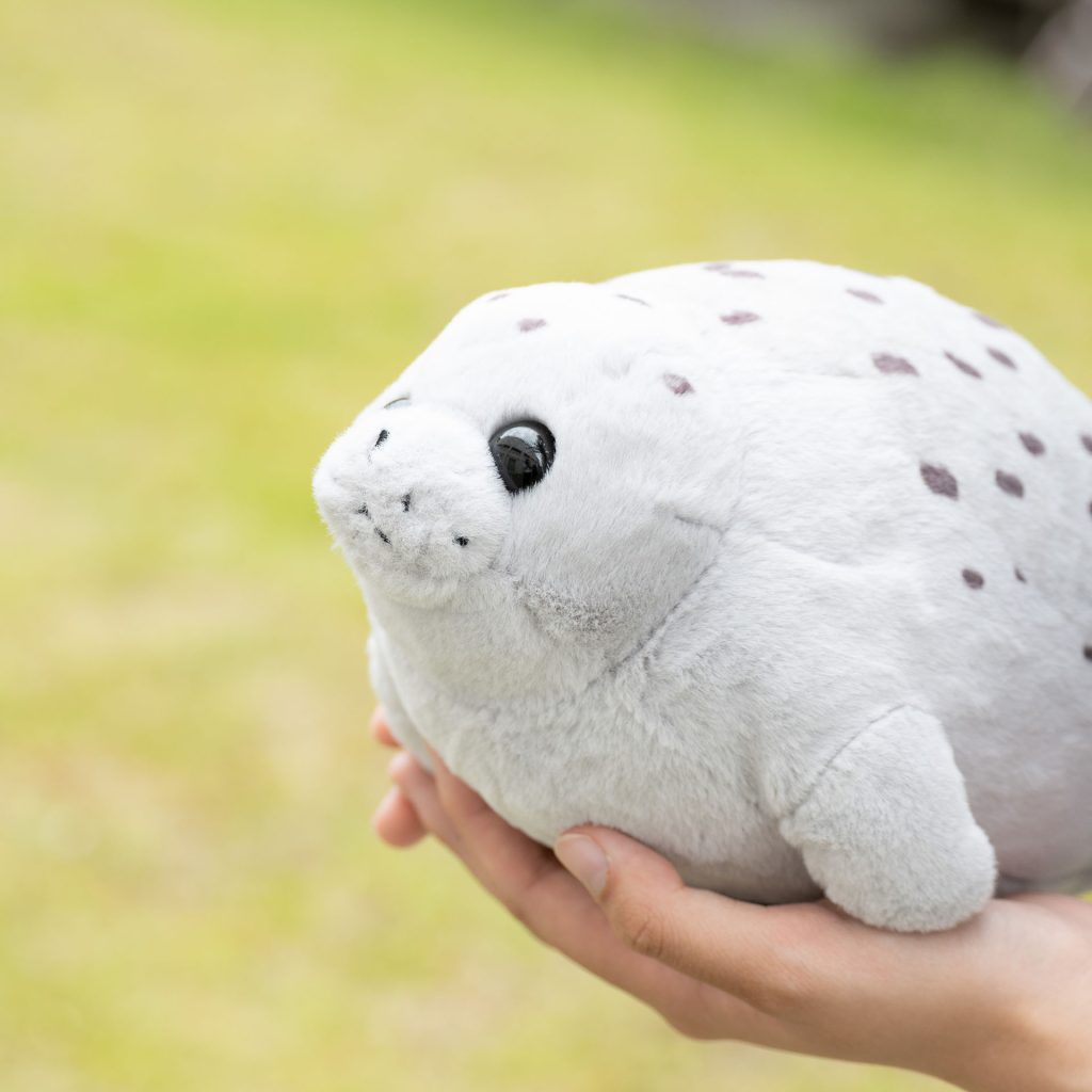 K.T.さんへの質問11 (5-11)