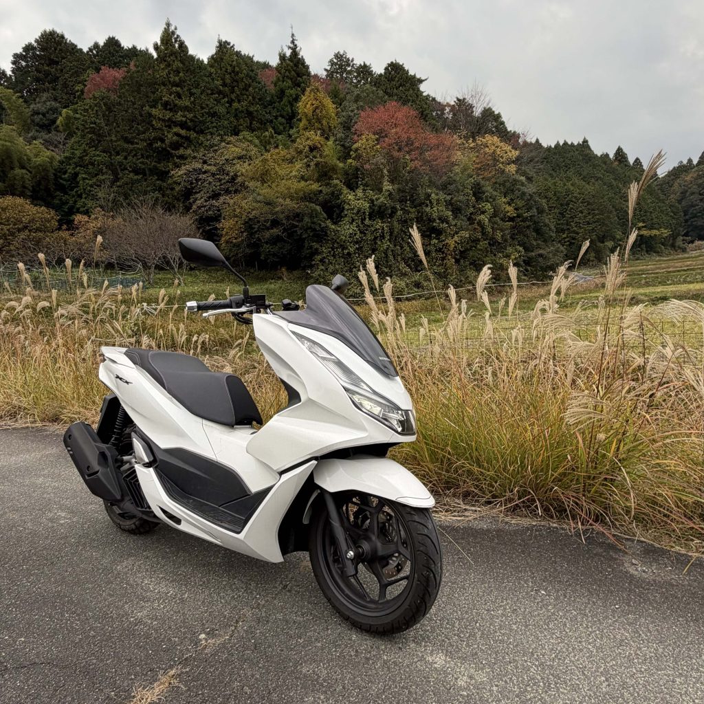 M.K.さんへの質問7 (14-7)