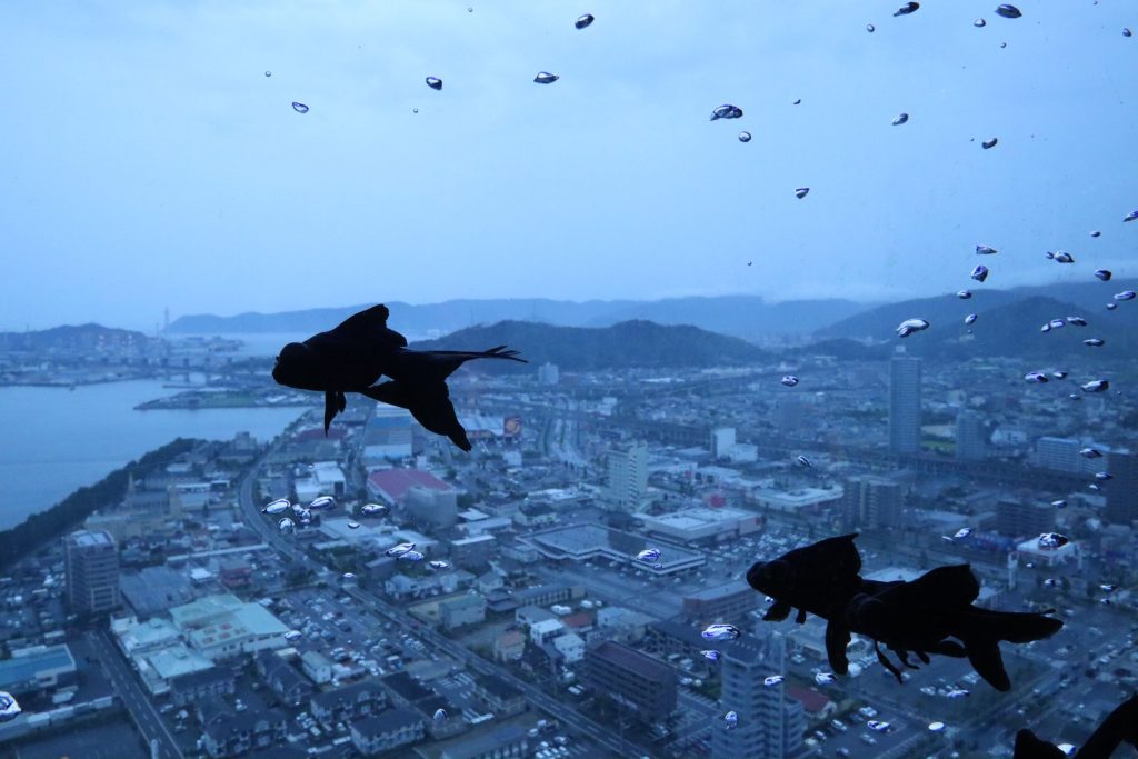 H.Y.さんへの質問3 (12-3)