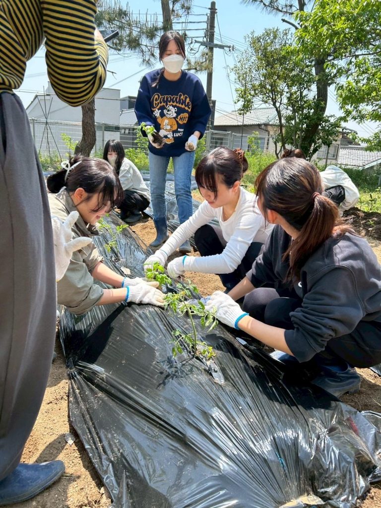 M.T.さんへの質問6 (13-6)