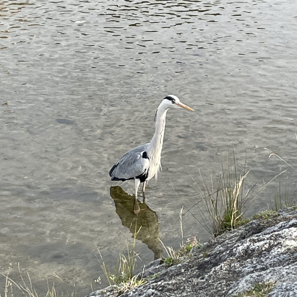 E.O.さんへの質問7 (18-7)