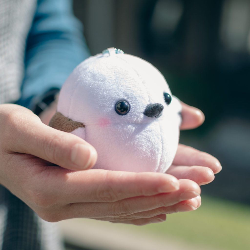 A.S.さんへの質問16 (24-16)